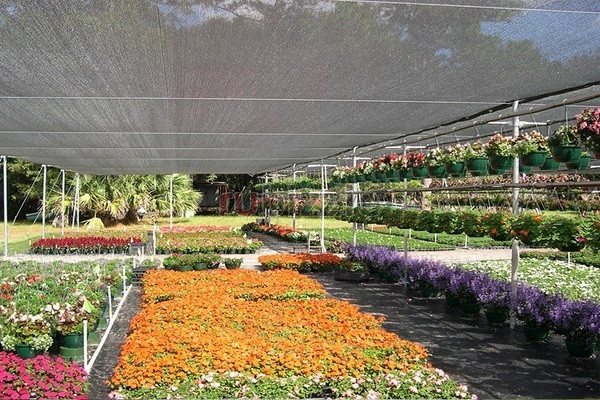 Where Can You Find Reliable Agro-Shed Net Dealers in Mumbai?